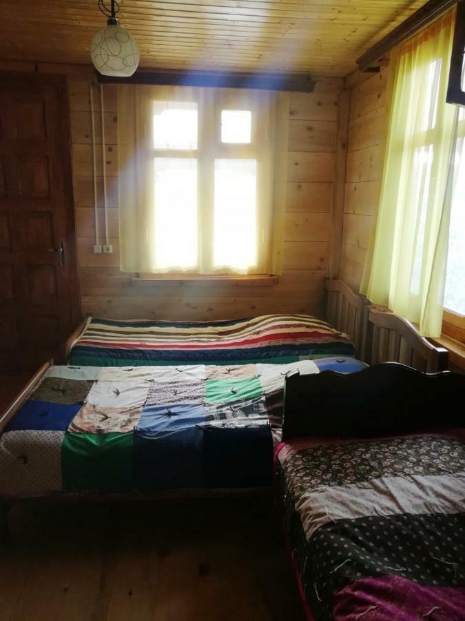 Guest House Ilia Borjomi Exterior photo
