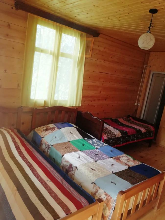 Guest House Ilia Borjomi Exterior photo